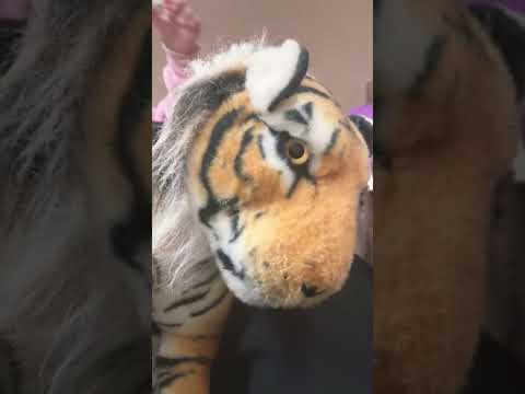 مسيطر على الوضع