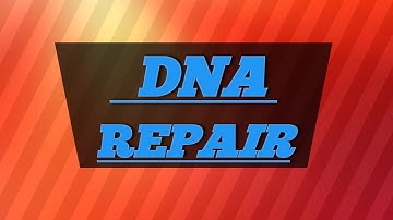 DNA repair mechanisms/ teaching Biology csir Net