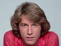 Andy Gibb – I Just Want To Be Your Everything 1