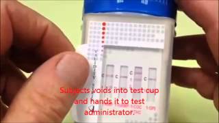 iCup Urine Test Cup