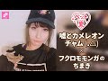 【ペット愛 Vol 18】チャム △(嘘とカメレオン)× フクロモモンガのちまき2