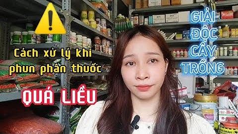 Cách xử lý khi phun thuốc quá liều | Giải độc cho cây | #ThuanLanTV