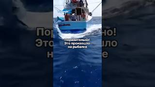 Поразительно! Это Произошло На Рыбалке