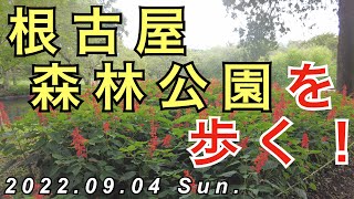 【Vlog花鳥風月】根古屋森林公園を散策して、そこでみたものは・・・_2022.09.04