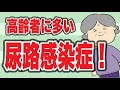 高齢者がなりやすい尿路感染症の原因や症状、予防法を解説！No76