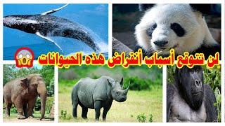 اكثر 10 حيوانات مهدده بالانقراض