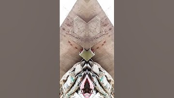 #filter #edit #strangerthings #funny #tutorial #independenceday