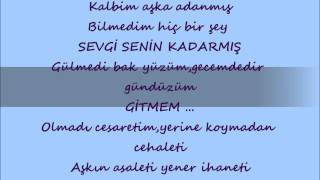 Hakan Türel - Sevgi Senin Kadarmış Resimi