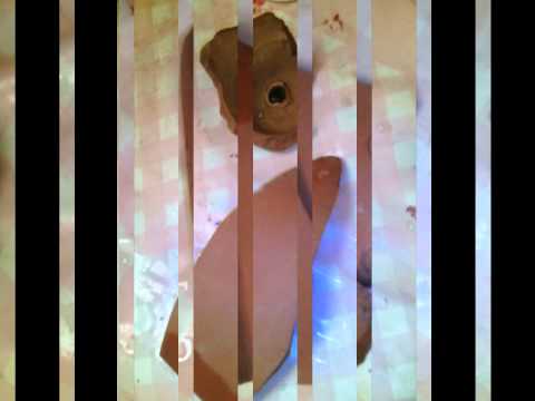 მნიშვნელოვანი აღმოჩენა ოქროყანის ტყეში