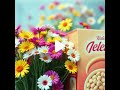 Your Favorite Cereal #music #popmusic #듣기좋은노래 #듣기 좋은 팝송
