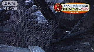 「鳩小屋が燃えている」　白い鳩300羽が・・・(15/03/12)