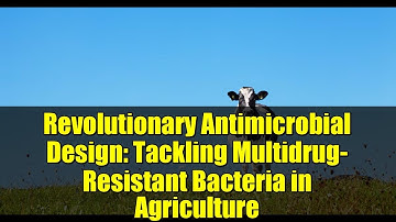 Revolutionary Antimicrobial Design: Tackling Multidrug-Resistant Bacteria in Agriculture