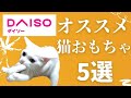 【猫グッズ】おすすめ猫おもちゃ５選　ダイソー編　猫のおもちゃは消耗品！つまり百均が最強！#50