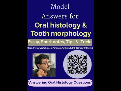 How to answer best for the question on human dental pulp stones?