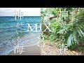 【神が住む森＆神がいる海】波の音を聞くだけで完全浄化＆全チャクラ活性化できる【沖縄究極パワースポット自然音3時間】