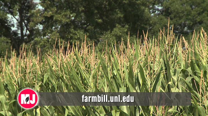 Farm Bill & Land Lease Info - Allan Vyhnalek - Nov...