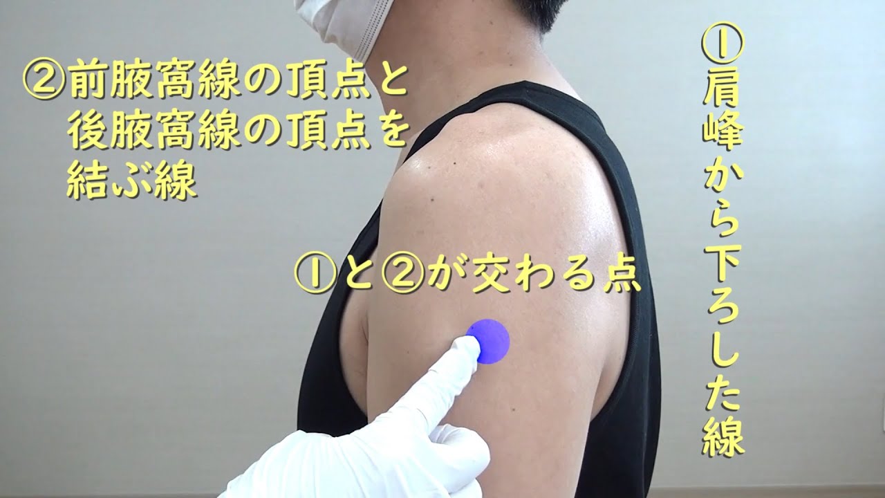 筋肉注射の方法 改訂版 新型コロナウイルスワクチン Youtube