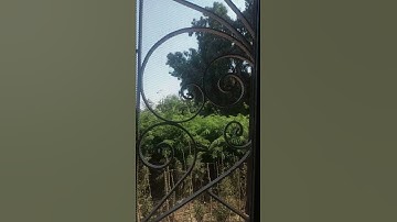 أول سورة الحاقة بصوت رائع😴
