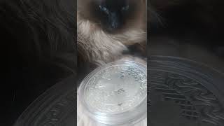 прием монет из серебра в Астане Караганде Алматы #караганда #астана #алматы