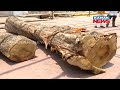 Holy Chariot Wood Reaches At Puri Ratha Khala Ahead Of Lord Jagannath&#39;s Ratha Jatra | Discussion
