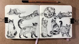 Kedi Nasıl Çizilir ? | Eskiz Defterini Kedilerle Dolduralım !