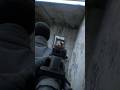 超リアルFPSで面白プレイww #fps #bodycam #shorts