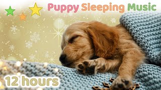  12 HOURS  Christmas Music for DOGS   Christmas Music Instrumental  Puppy Sleeping Music
