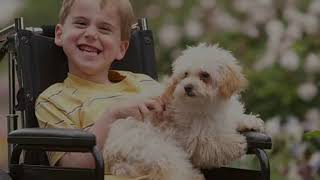 Story Of A Farmer And Disabled Boy Who Wanted To Buy Puppies | Inspirational Video