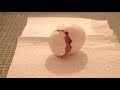 Hatching of a Huge Green wing Macaw Baby - Hatchday