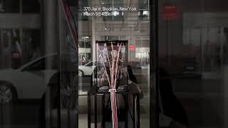 Orbital Cells: Down to Earth - 370 Jay st