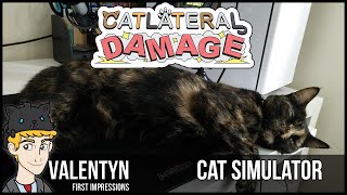 Catlateral Damage: The Cat Simulator