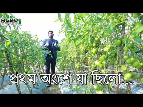 ভিডিও: চাঁদের কোন ফেজ রোপণের জন্য সেরা?