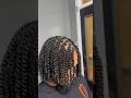 The Perfect Two Strand Twist mp3
