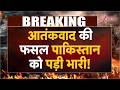 Pakistan Breaking news : आतंकवाद की फसल पाकिस्तान को पड़ी भारी! | Asim Munir | Durand Line