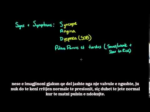 Video: Infeksioni I Valvulave Të Zemrës (Endokarditi Infektiv) Tek Qentë