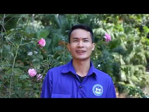 Video Tuyển lao động 15- 30 triệu Công ty than Nam Mẫu... - youtube