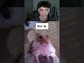 How Animals Look WET! 😂