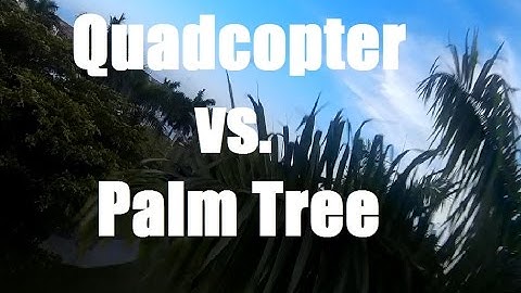 ImmersionRC Vortex FPV - Freestyle Practice and duel vs Palm Tree!