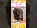 本物のメシマズ嫁さん、ガチで格が違いすぎるwww #2ch面白いスレ