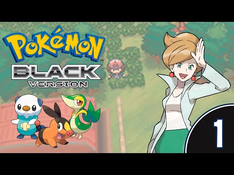 [1/10] Прохождение Pokemon Black (Nintendo DS): запись стрима (22.11.2020)