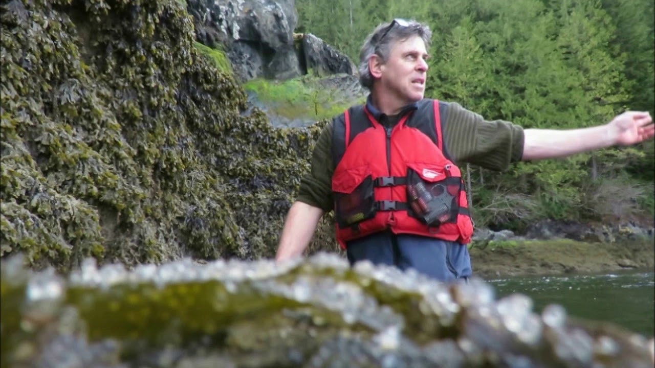 Herring spawn report 4   April 8,2018 Upper Howe Sound, British Columbia
