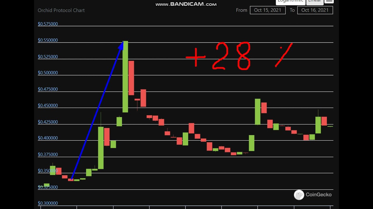 Altcoin Explosion. Orchid Protocol (OXT)  +  28  %.-crypto explode today-COIN  on MASSIVE NEWS