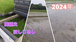 【水稲農家・ほしじるし】全て田植えしてみた。無事に終了