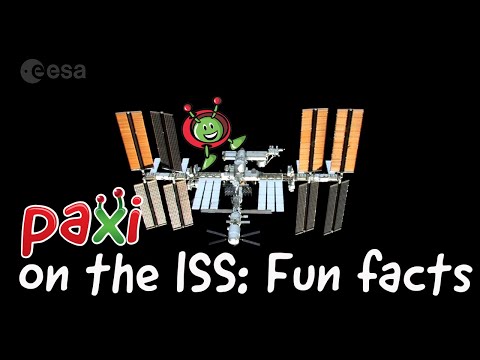 Paxi on the ISS: Fun facts about the ISS
