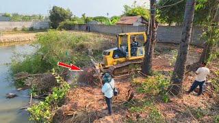 Getting Started Projects Bulldozer KUMATSU D31PX Pour soil near the pond to build the road By Truck