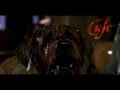 Capture de la vidéo Fan De Stephen King Présente : "Cujo" (1Ère Version)