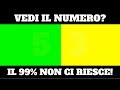 I TUOI OCCHI POSSONO VEDERE TUTTI I COLORI? Test della Vista Online