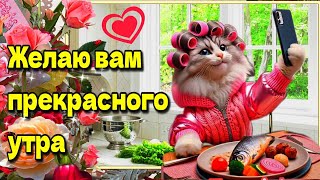 ☕Самого доброго весеннего утра!💗Благословенного дня!💗Красивая музыкальная открытка🌼