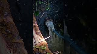 Saturday callout #draincleaning #drainunblocking #drainage #draincamera #scanprobe Saturday callout #draincleaning #drainunblocking #drainage #draincamera #scanprobe