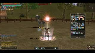 Evas Saint - Skills